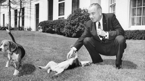 LBJ with dogs