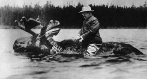 Roosevelt riding a moose