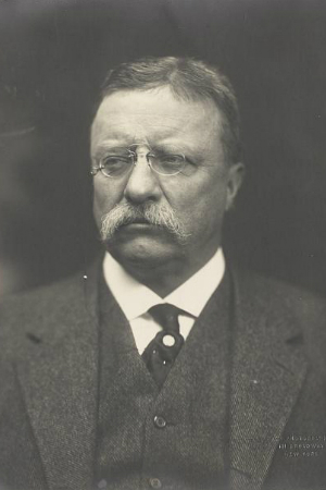 26th President Theodore Roosevelt, 1901-1909